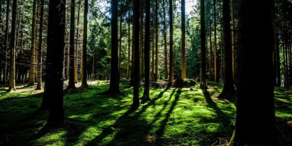 Why International Tourism Depends on Local Workers