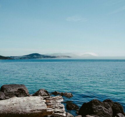 Why Translation Tools Need Better Handling of Names