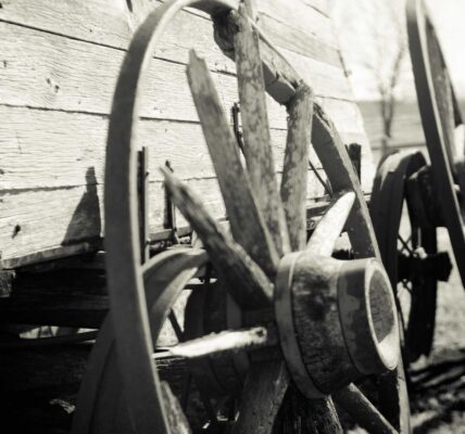 Why Community Organizations Need Clear Contact Information