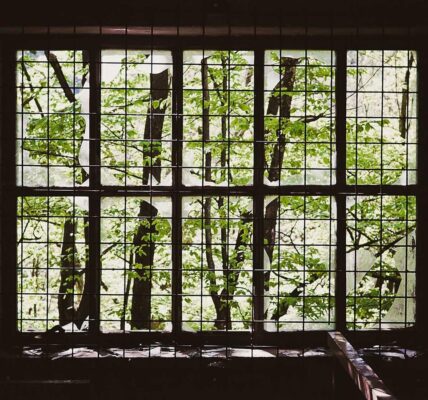 Why Regional Organizations Matter Even When They Move Slowly