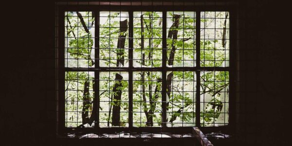 Why Regional Organizations Matter Even When They Move Slowly